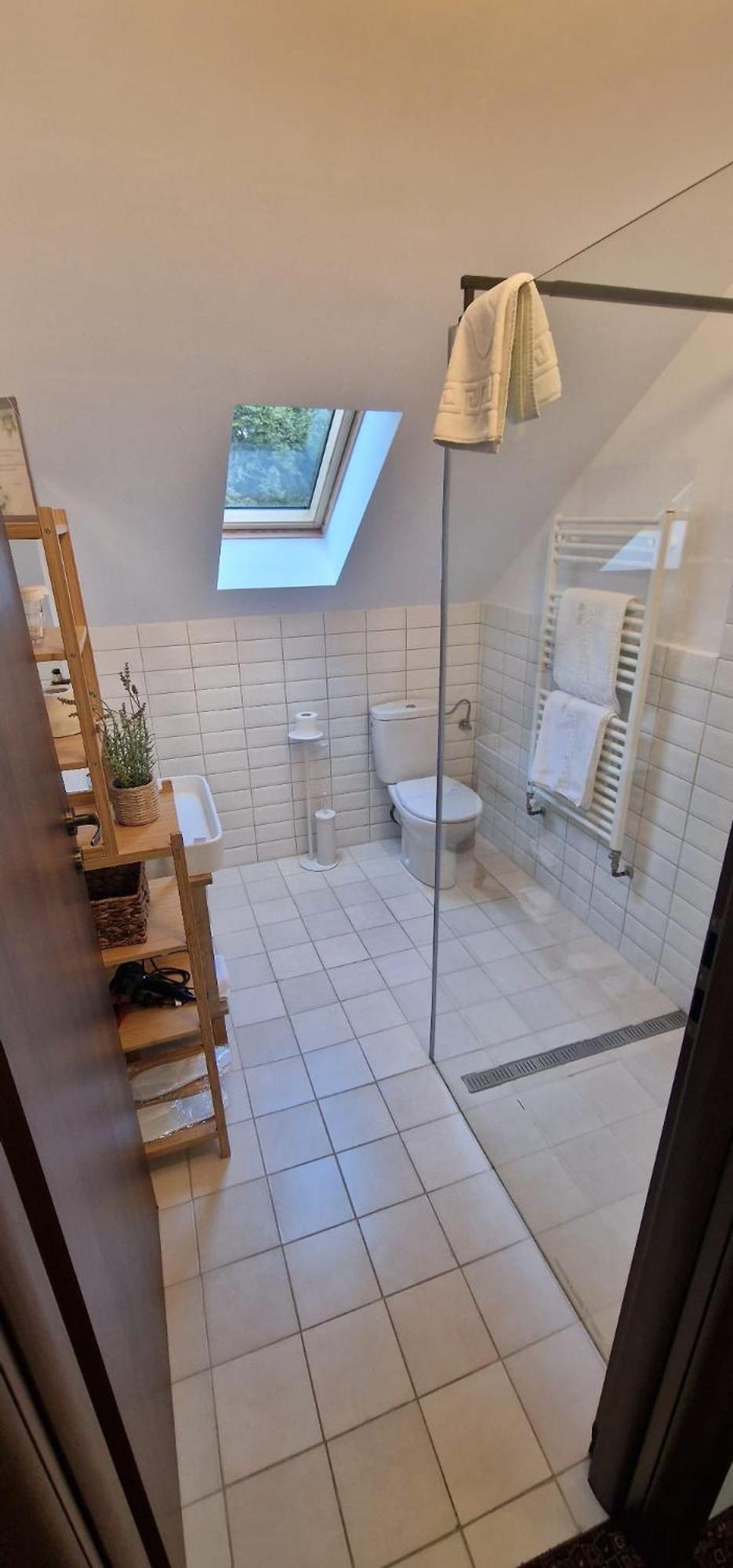 Opus Villa Sinaia Exterior photo Bathroom with shower